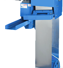 Stor bandskimmer